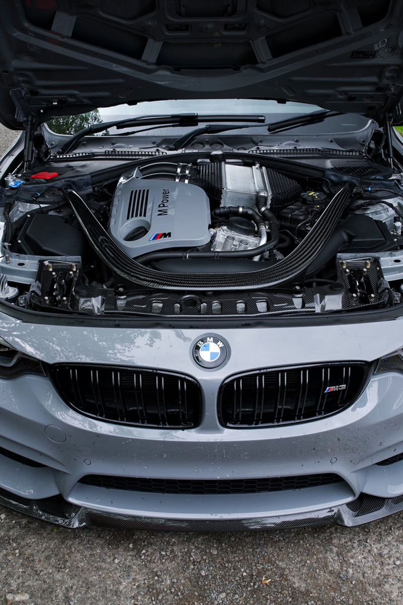 Painted BMW Engine Cover